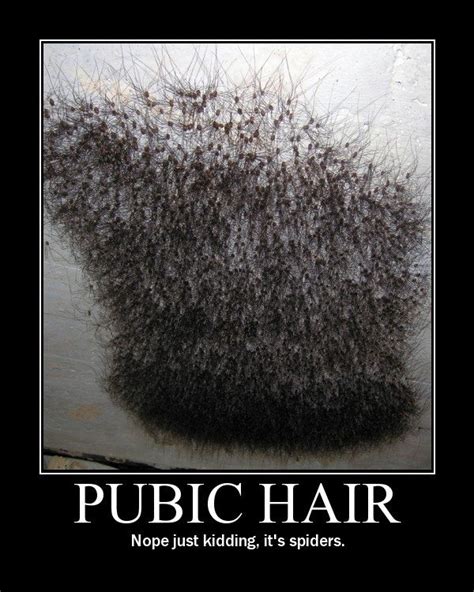 hairy brunette pics|Category : Pubic hair (female) by color